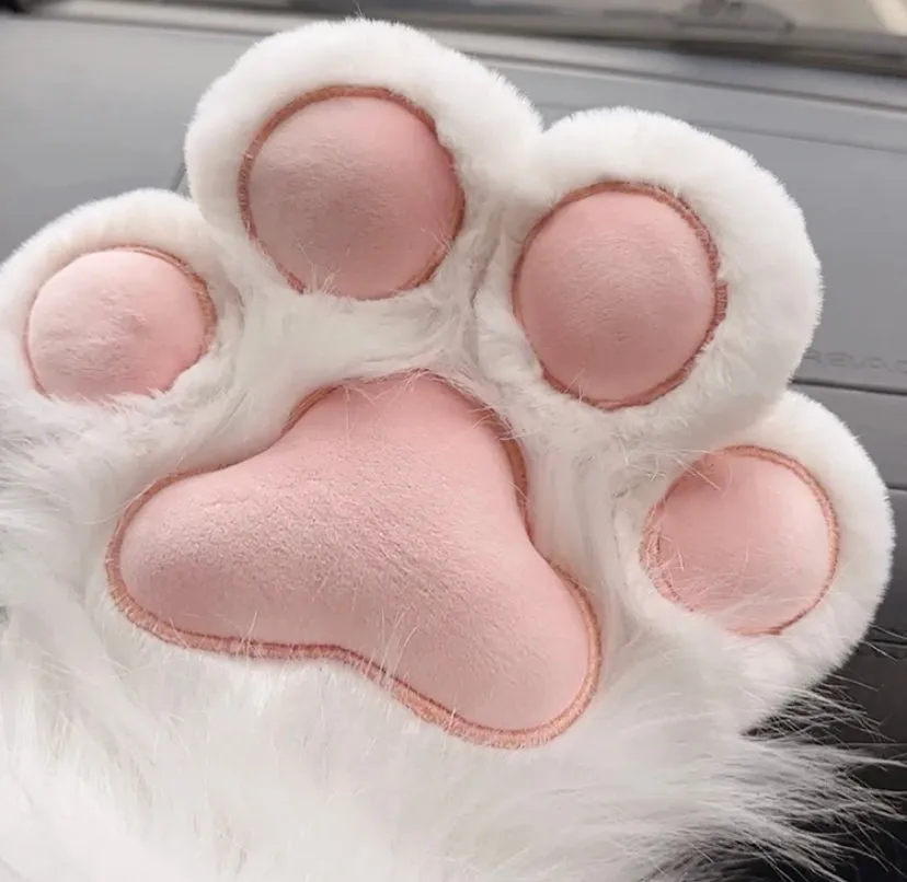 Cute Paws Gloves PN6474