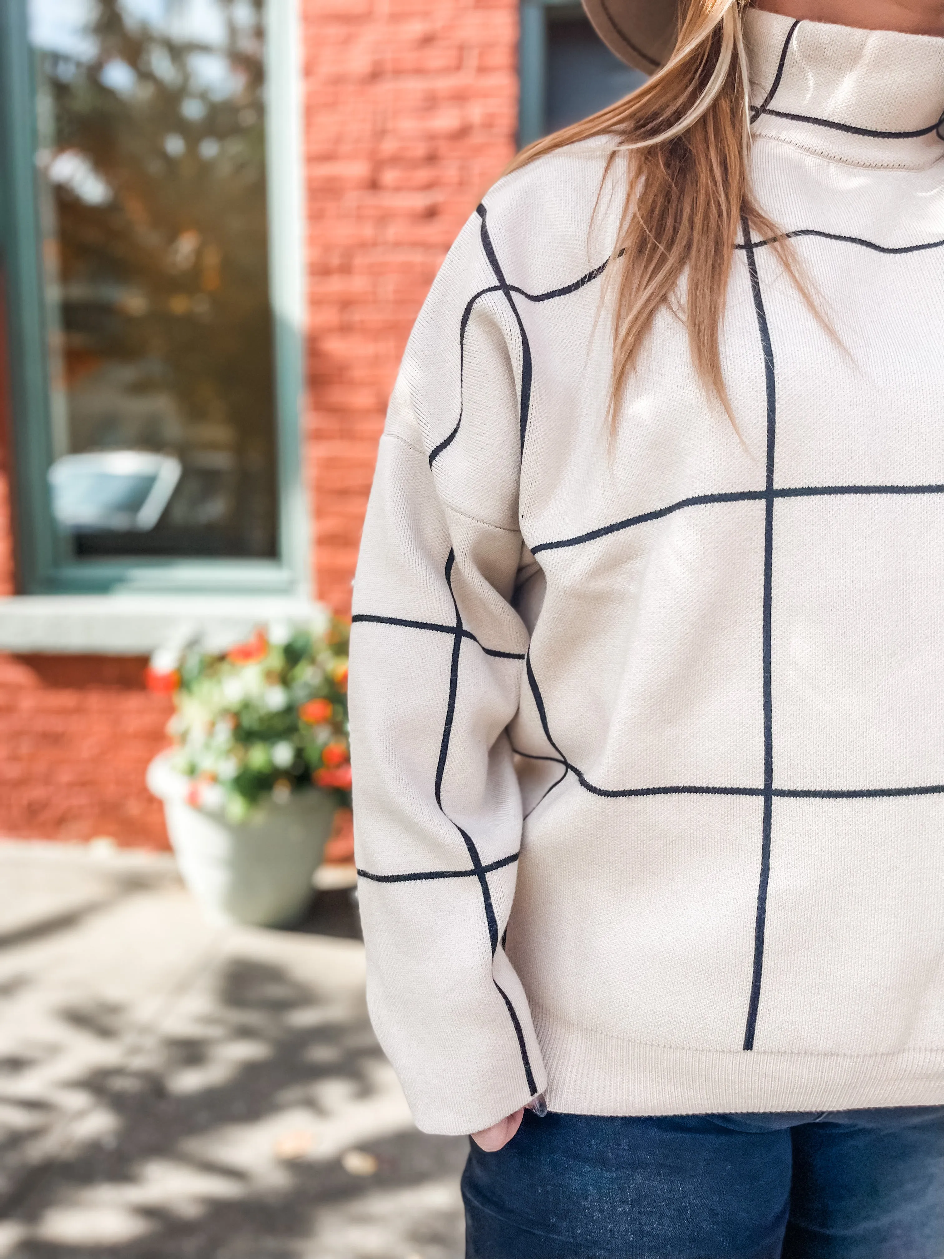 Off The Grid Patterned Sweater PLUS