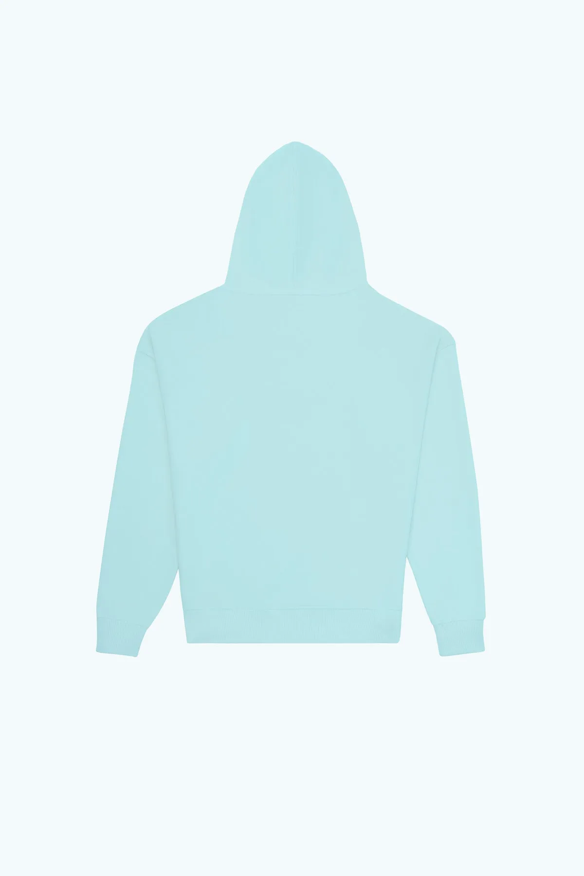 Sincap Super Soft Hoodie - Mint